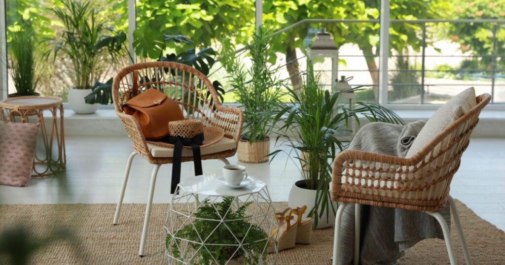 l'intérieur d'un salon véranda avec deux chaises en osier et plusieurs plantes
